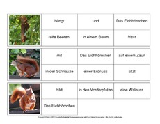 Sätze-bilden-Eichhörnchen 8.pdf